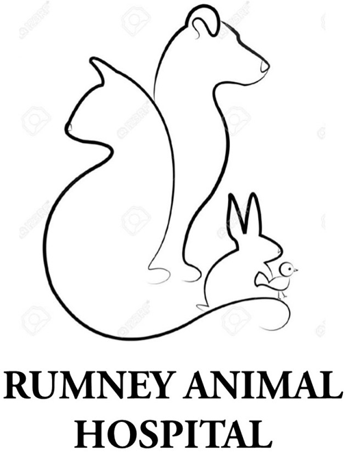 2023 Squam Ridge Race to the Squam Lakes Association